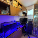Apartamento à venda com 3 quartos, sendo 1 suíte, em Mandaqui, São Paulo, SP