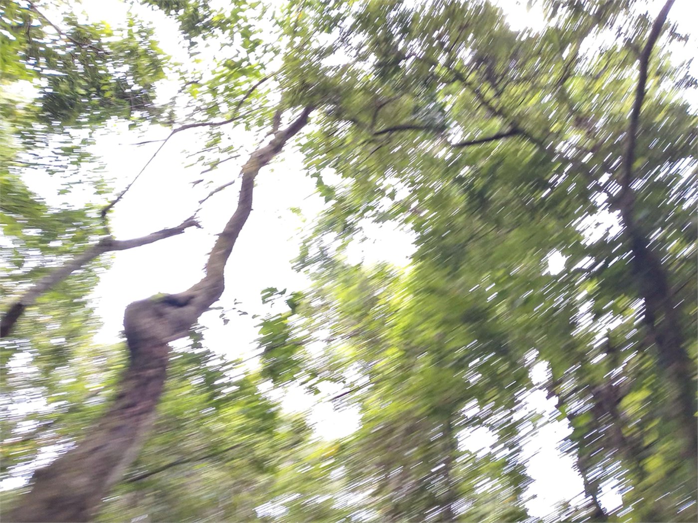 Terreno à venda no condomínio Cantareira, Mairiporã - SP