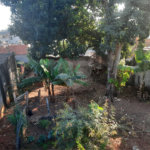Terreno à venda em Jardim do Trevo, Atibaia, SP