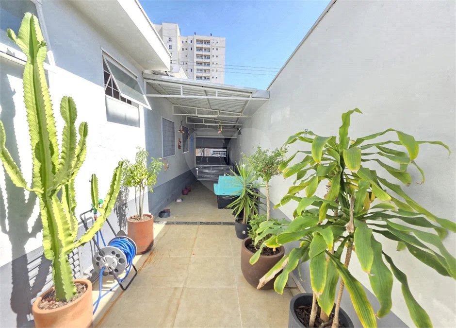 Casa térrea 3 dormitórios com piscina e área Gourmet à venda São Carlos