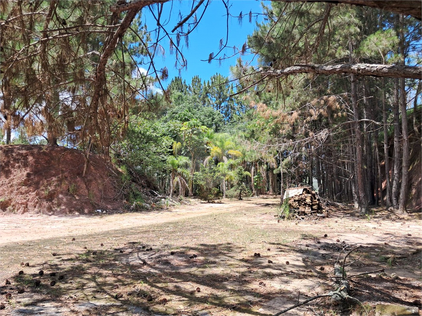 Sítio à venda no Centro, Salesópolis, SP
