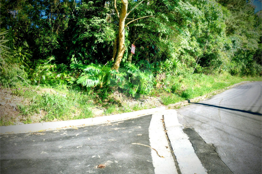 Terreno à venda em Serra da Cantareira, Mairiporã, SP