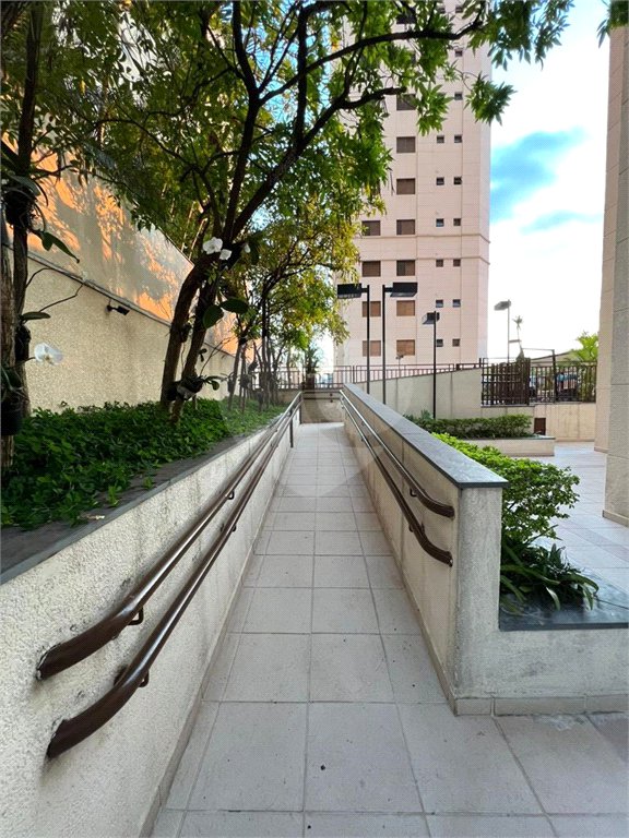 Apartamento à venda com 3 quartos, sendo 1 suíte, em Santa Teresinha, São Paulo, SP