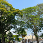 Salão para alugar em Jardim, Santo André, SP
