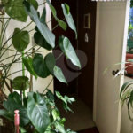 Apartamento à venda com 2 quartos em Pinheiros, São Paulo, SP
