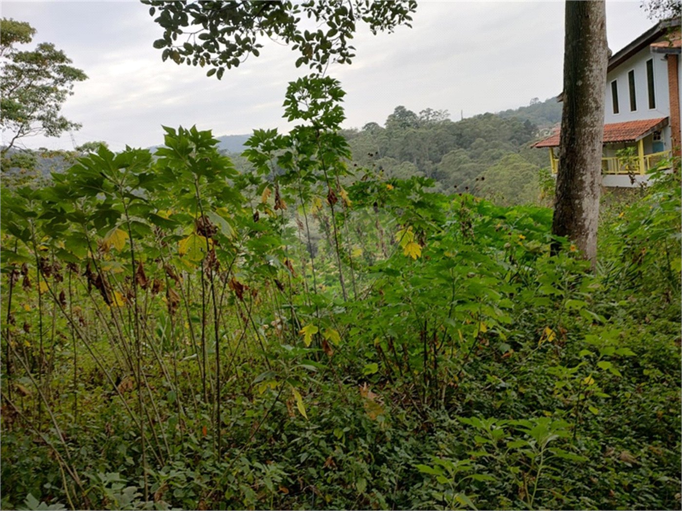 Terreno à venda em Barro Branco (zona Norte), São Paulo, SP