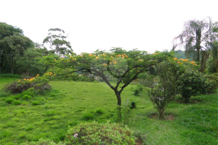 Chácara à venda com 2 quartos, sendo 1 suíte, em Santa Cândida, Vinhedo, SP
