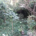 Sobrado à venda ou para alugar com 3 quartos, sendo 1 suíte, em Mandaqui, São Paulo, SP