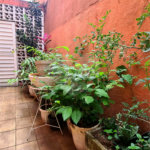 Sobrado à venda com 3 quartos em Limão, São Paulo, SP