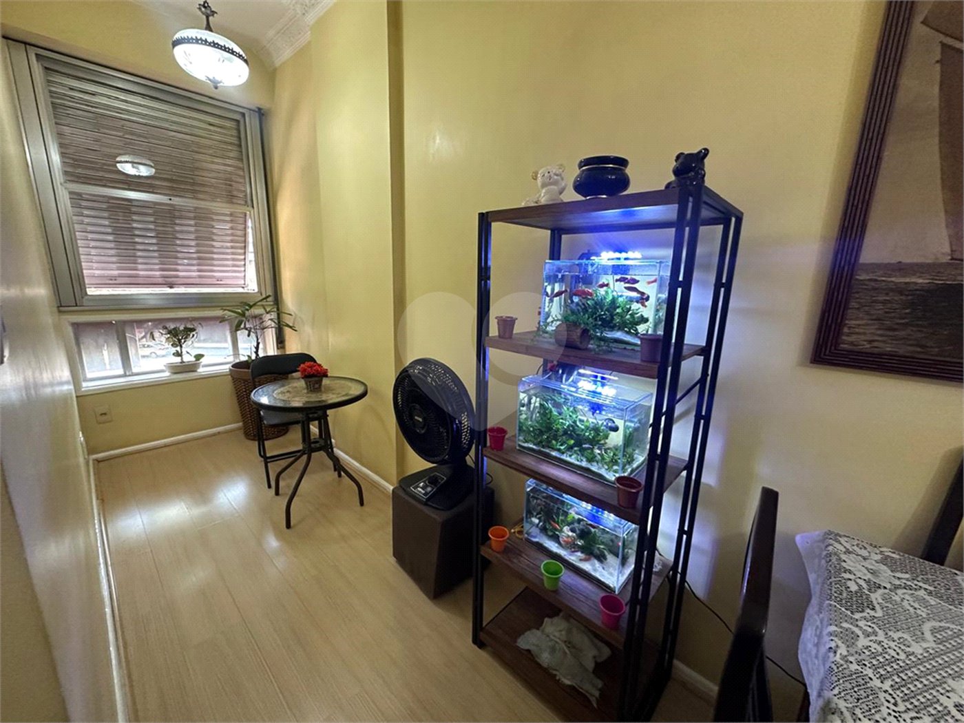 Cobertura à venda com 3 quartos, sendo 1 suíte, em Rio Comprido, Rio de Janeiro, RJ