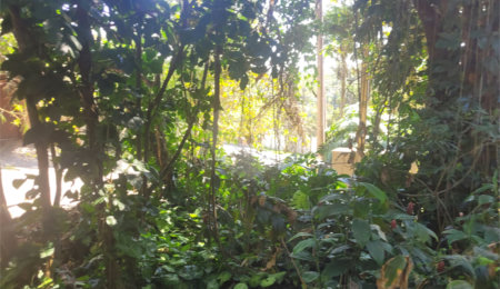 Casa à venda no condomínio Sausalito, Mairiporã - SP