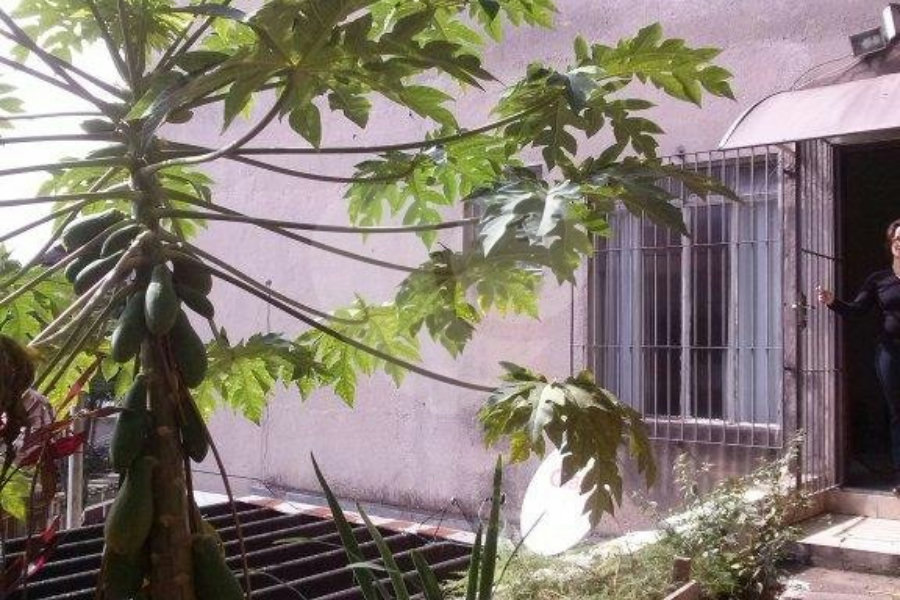 Prédio à venda com 3 quartos em Vila Nova Cachoeirinha, São Paulo, SP