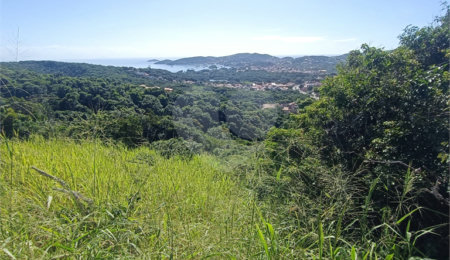 Terreno à venda em Tartaruga, Armação dos Búzios, RJ