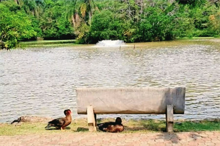 Casa à venda com 5 quartos, sendo 4 suítes, em Transurb, Itapevi, SP