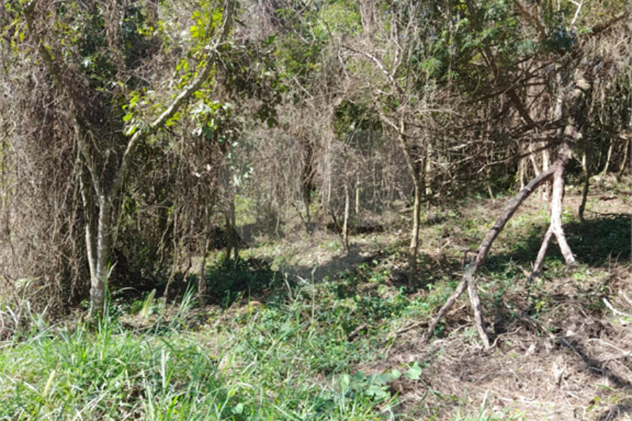 Loteamento à venda em Serra da Cantareira, São Paulo, SP