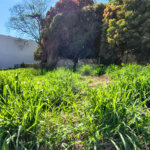 Terreno à venda em Santa Claudina, Vinhedo, SP