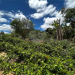 Sítio à venda com 2 quartos em Área Rural de Varginha, Itapetininga, SP