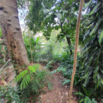 Loteamento à venda em Jardim Amália, São Paulo, SP