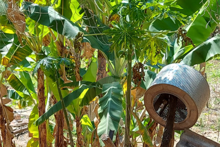 Chácara à venda com 4 quartos em Área Rural de Louveira, Louveira, SP