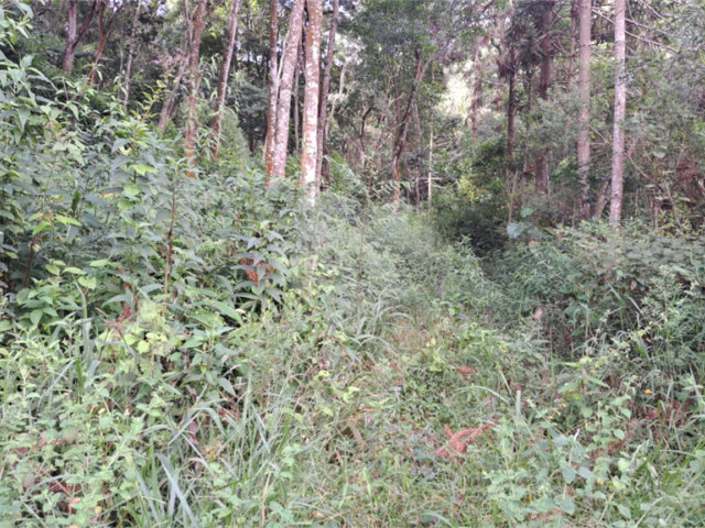 Área de Terra à venda em Terra Preta (terra Preta), Mairiporã, SP