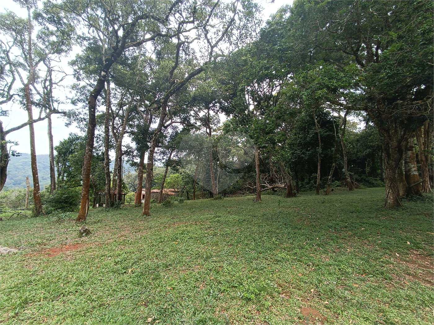 Sítio à venda com 6 quartos, sendo 5 suítes,  em Alto da Serra (mailasqui), São Roque, SP