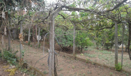 Terreno à venda em Horto Florestal, São Paulo, SP