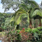 Casa à venda com 3 quartos, sendo 1 suíte, no condomínio Alpes da Cantareira, Mairiporã - SP