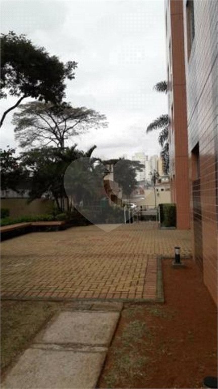 Apartamento à venda com 3 quartos, sendo 1 suíte, em Cambuci, São Paulo, SP