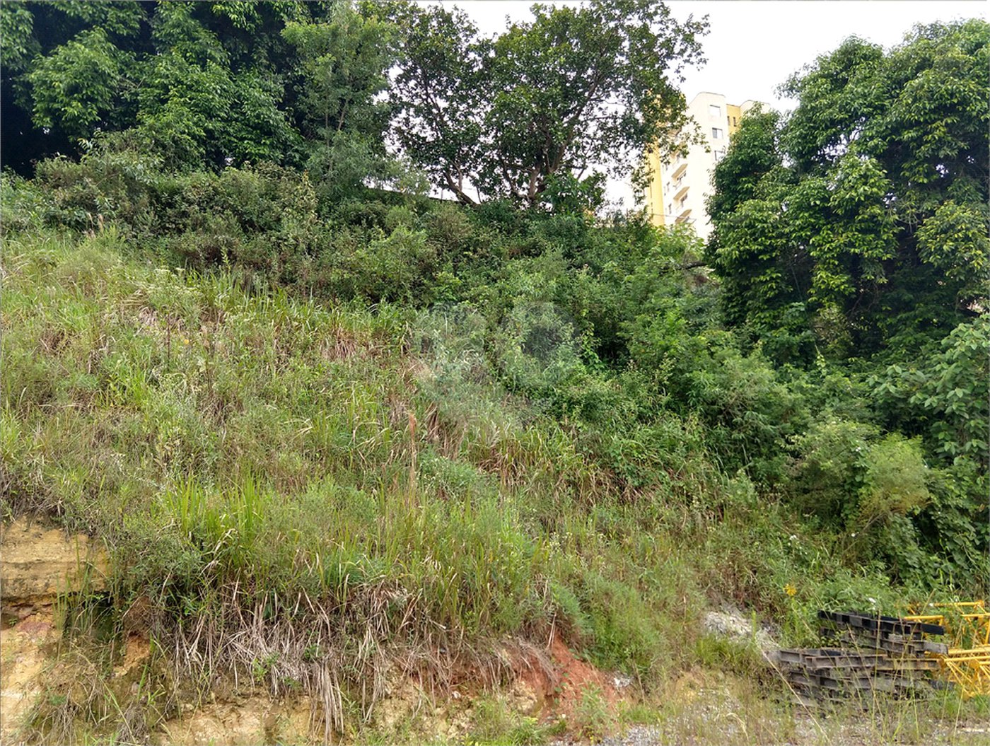 Terreno à venda em Vila Maria, São Paulo, SP