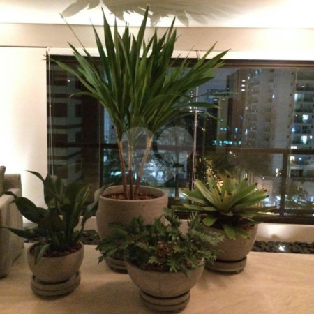 Apartamento à venda com 3 suítes em Granja Julieta, São Paulo, SP