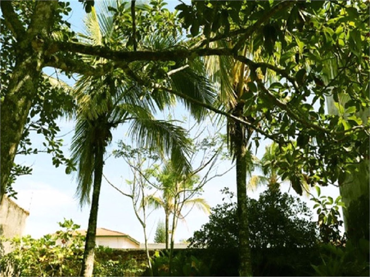Casa Residencial à venda, Balneário Marambaia, Itanhaém - CA0135.