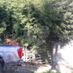 Terreno à venda em Serra da Cantareira, Mairiporã, SP