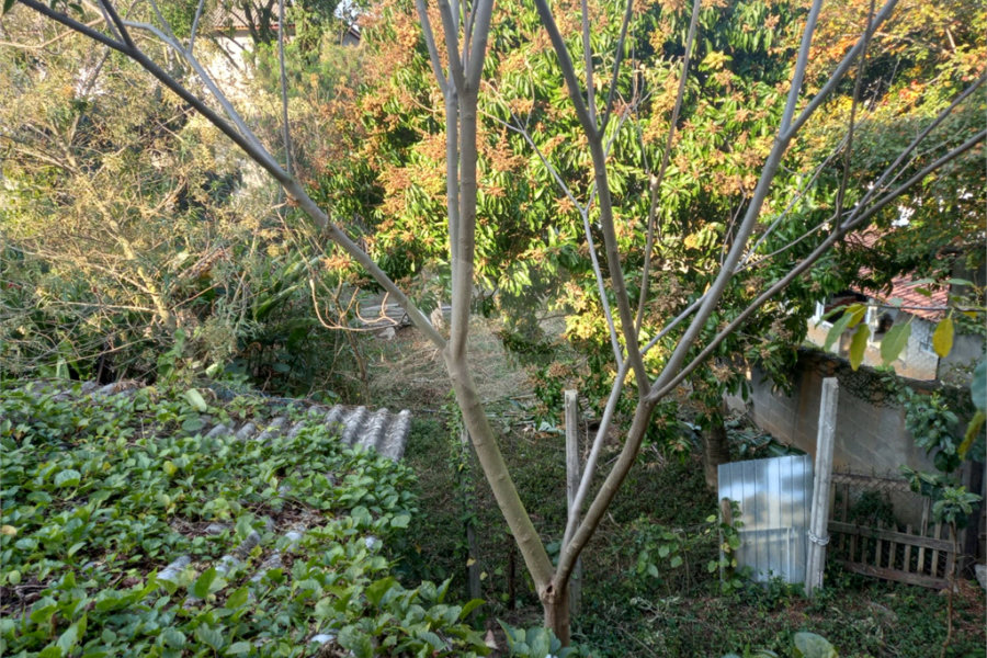 Terreno à venda em Tremembé, São Paulo, SP