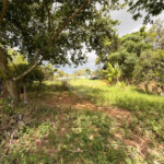 Chácara à venda com 3 quartos, sendo 1 suíte, no Centro, Araçoiaba da Serra, SP