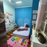 Casa à venda com 3 quartos, sendo 1 suíte, em Parque Santa Marta, São Carlos, SP