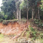 Terreno à venda em Serra da Cantareira, Mairiporã, SP