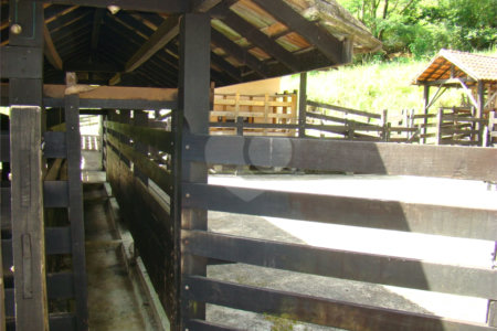 Fazenda à venda com 7 quartos, sendo 3 suítes, em Professor Souza, Casimiro de Abreu, RJ