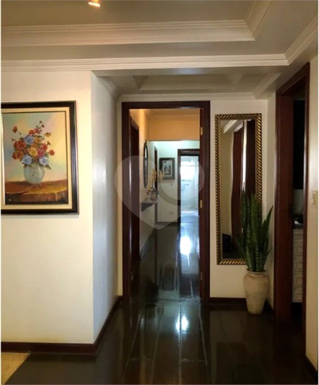 Apartamento de Alto Padrão com 4 Suítes à Venda - 250m² - Centro de São Carlos