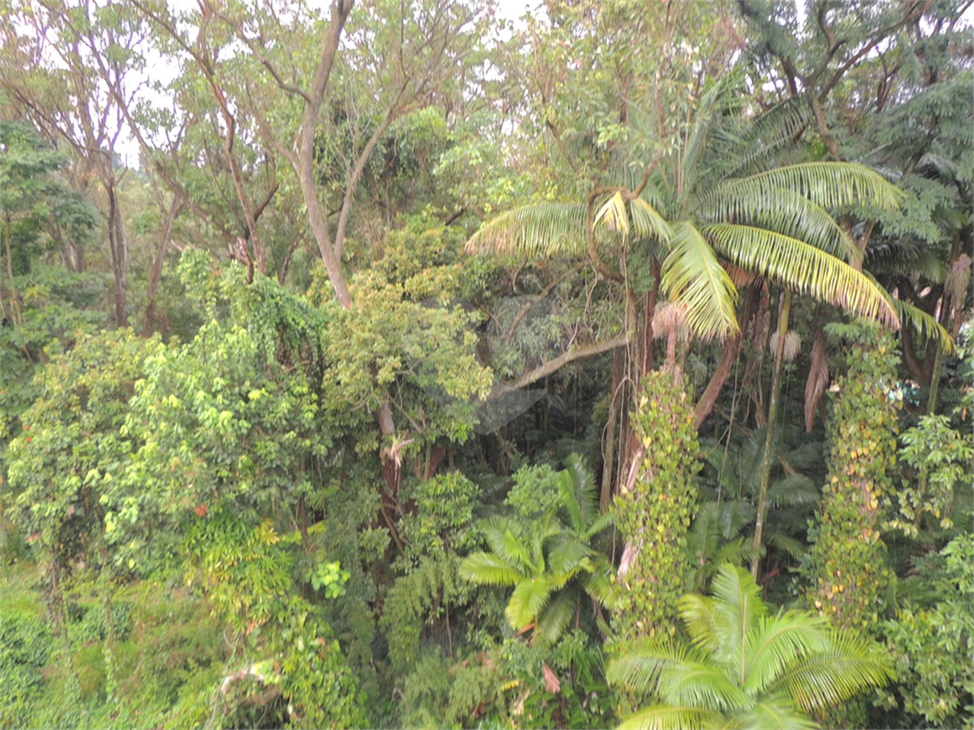 Casa à venda com 3 suítes no condomínio Jardim Flora, São Paulo - SP