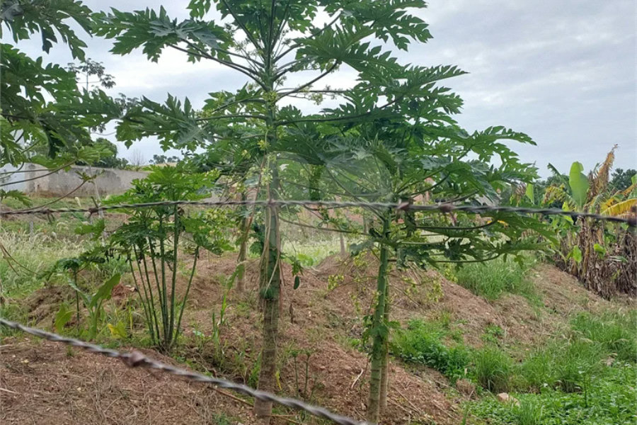 Terreno à venda no Estância Lago Azul, Piracicaba-SP.