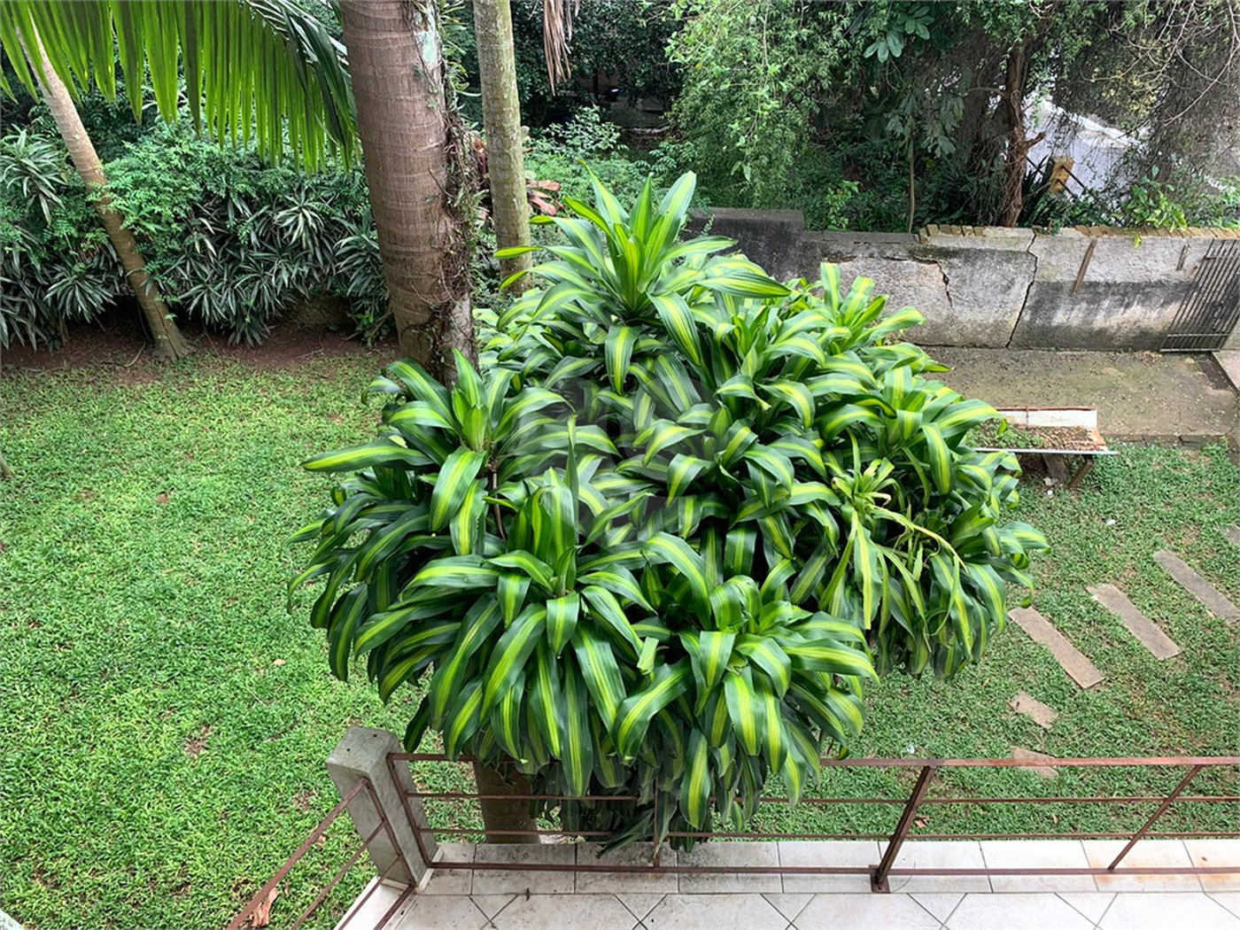 Sobrado à venda com 4 suítes em Tremembé, São Paulo, SP