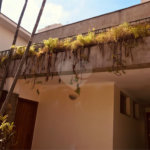 Casa à venda com 4 quartos, sendo 2 suítes, em Jardim das Vertentes, São Paulo, SP