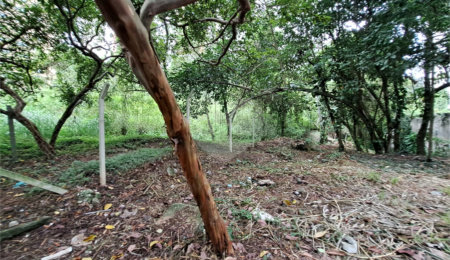 Terreno à venda em Jardim Ampliação, São Paulo, SP