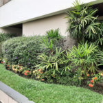 Apartamento à venda com 4 quartos, sendo 2 suítes,  em Jardim São Paulo(zona Norte), São Paulo, SP