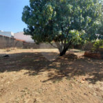Terreno à venda em Núcleo Residencial Professor Carlos Aldrovandi, Indaiatuba, SP