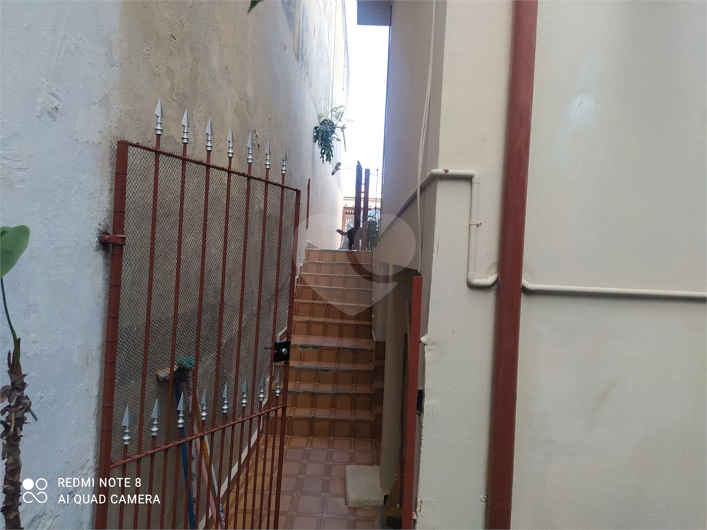 Casa Térrea à venda com 3 quartos em Imirim, São Paulo, SP