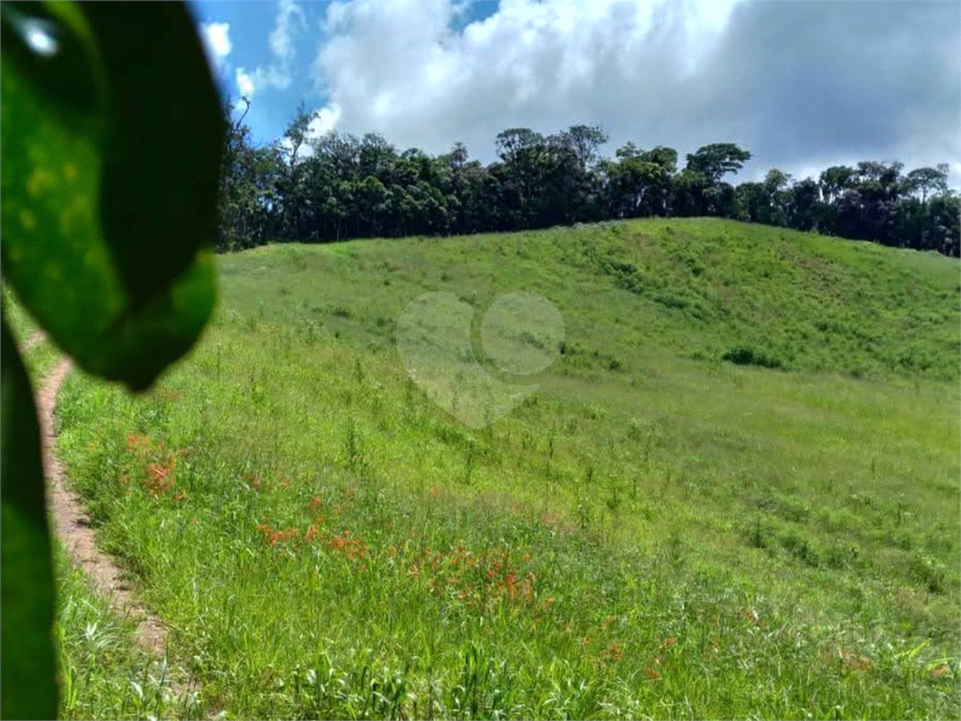 Sítio à venda com 5 quartos, sendo 1 suíte,  em Área Rural de Tapiraí, Tapiraí, SP