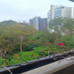Apartamento à venda com 3 suítes em Vila Suzana, São Paulo, SP