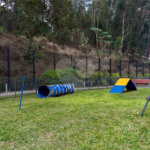 Apartamento à venda com 3 suítes em Jardim Morumbi, São Paulo, SP