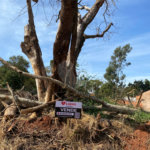 Terreno à venda em Jardim Itaipu, Ponta Porã, MS